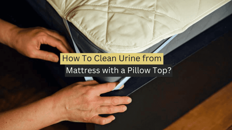 How To Clean Urine from Mattress with a Pillow Top?