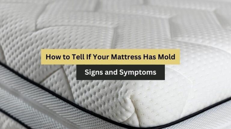 How to Know if Your Mattress Has Mold : Signs and Symptoms